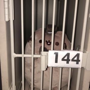 Meet your Posher, Angie